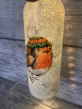 Load image into Gallery viewer, Robin in hat vase and light up bottle set
