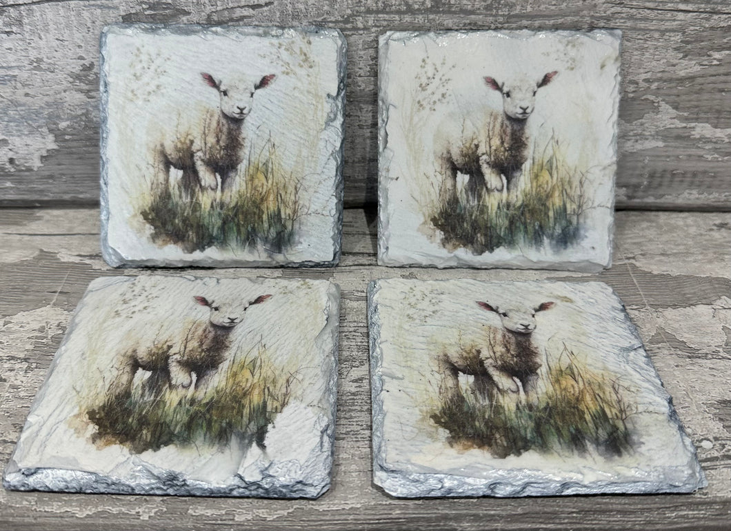 Lamb slate coasters