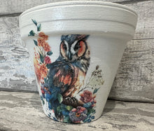 Load image into Gallery viewer, Owl plant pot
