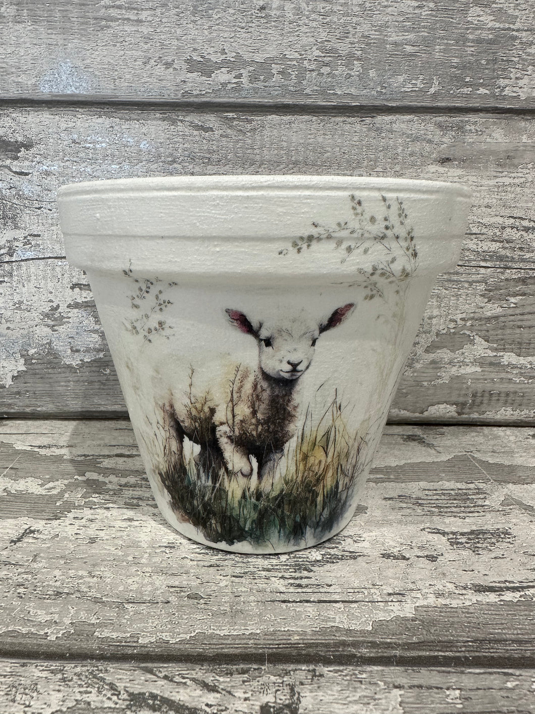 Lamb plant pot