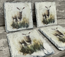 Load image into Gallery viewer, Lamb slate coasters
