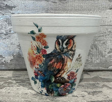 Load image into Gallery viewer, Owl plant pot
