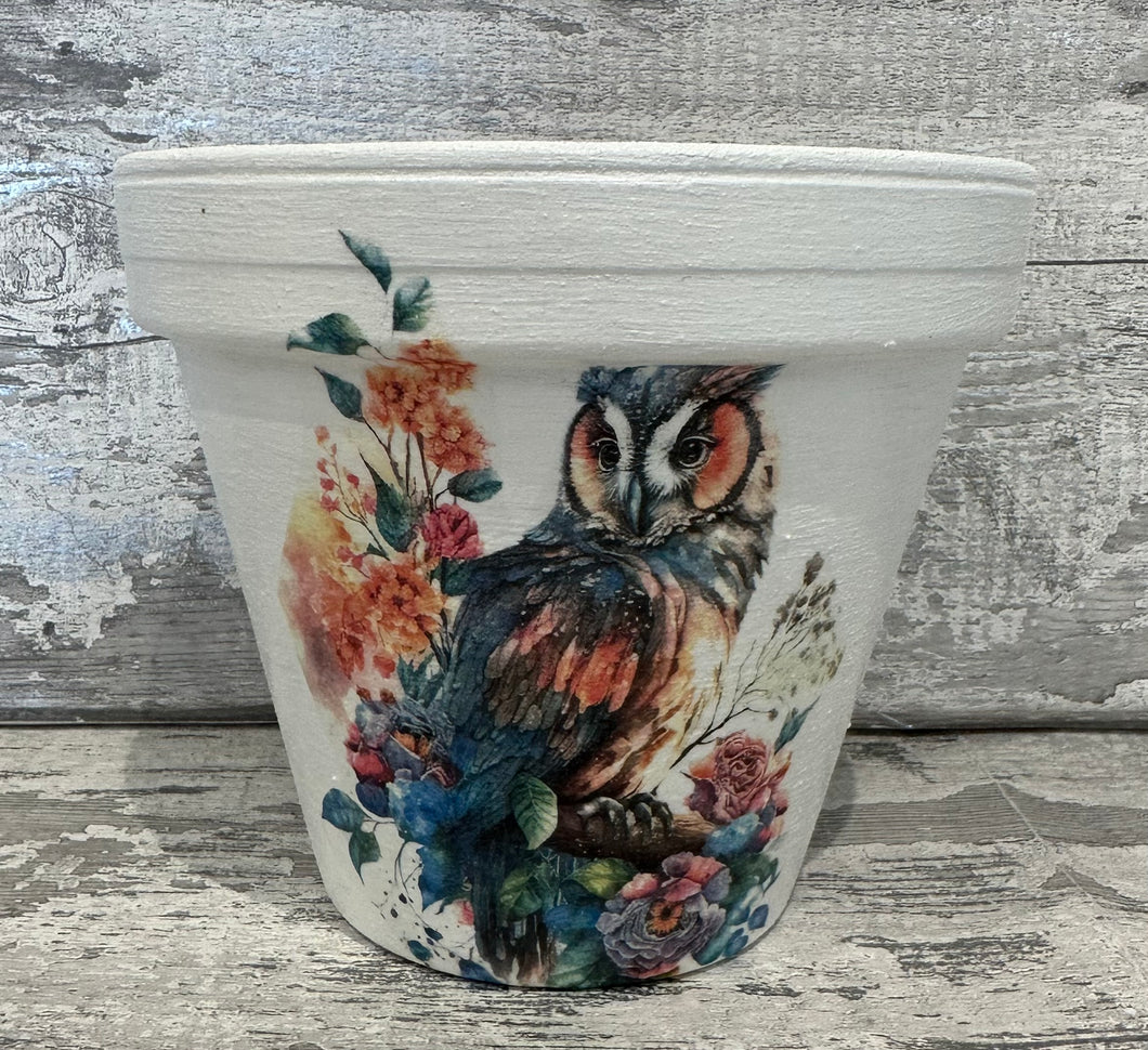 Owl plant pot