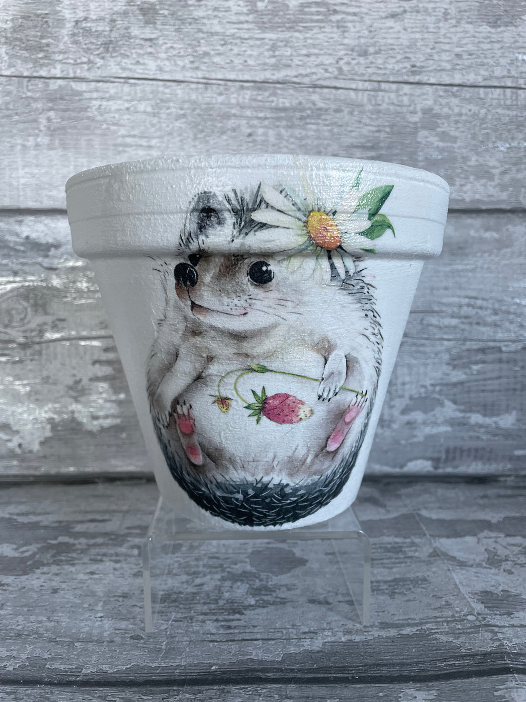 Hedgehog plant pot