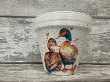 Load image into Gallery viewer, Duck plant pot
