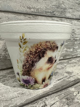 Load image into Gallery viewer, Hedgehog plant pot
