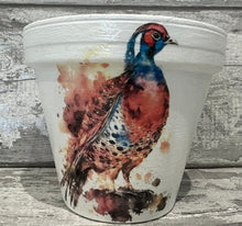 Load image into Gallery viewer, Pheasant  plant pot
