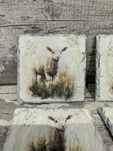 Load image into Gallery viewer, Lamb slate coasters
