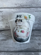 Load image into Gallery viewer, Hedgehog plant pot
