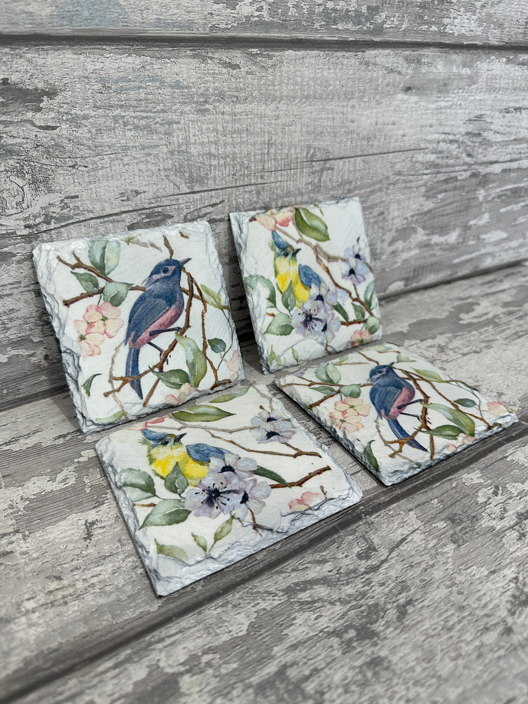 Birds slate coasters