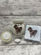 Load image into Gallery viewer, Poodle wax burner gift set
