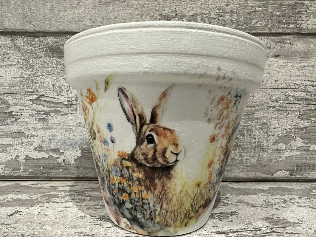 Hare plant pot