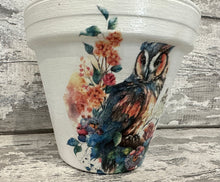 Load image into Gallery viewer, Owl plant pot
