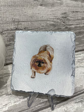 Load image into Gallery viewer, Shitzu dog wax burner gift set
