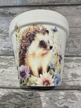 Load image into Gallery viewer, Hedgehog plant pot
