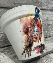 Load image into Gallery viewer, Pheasant  plant pot
