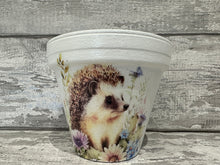 Load image into Gallery viewer, Hedgehog plant pot
