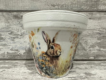 Load image into Gallery viewer, Hare plant pot
