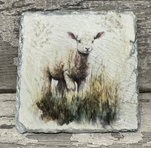 Load image into Gallery viewer, Lamb slate coasters
