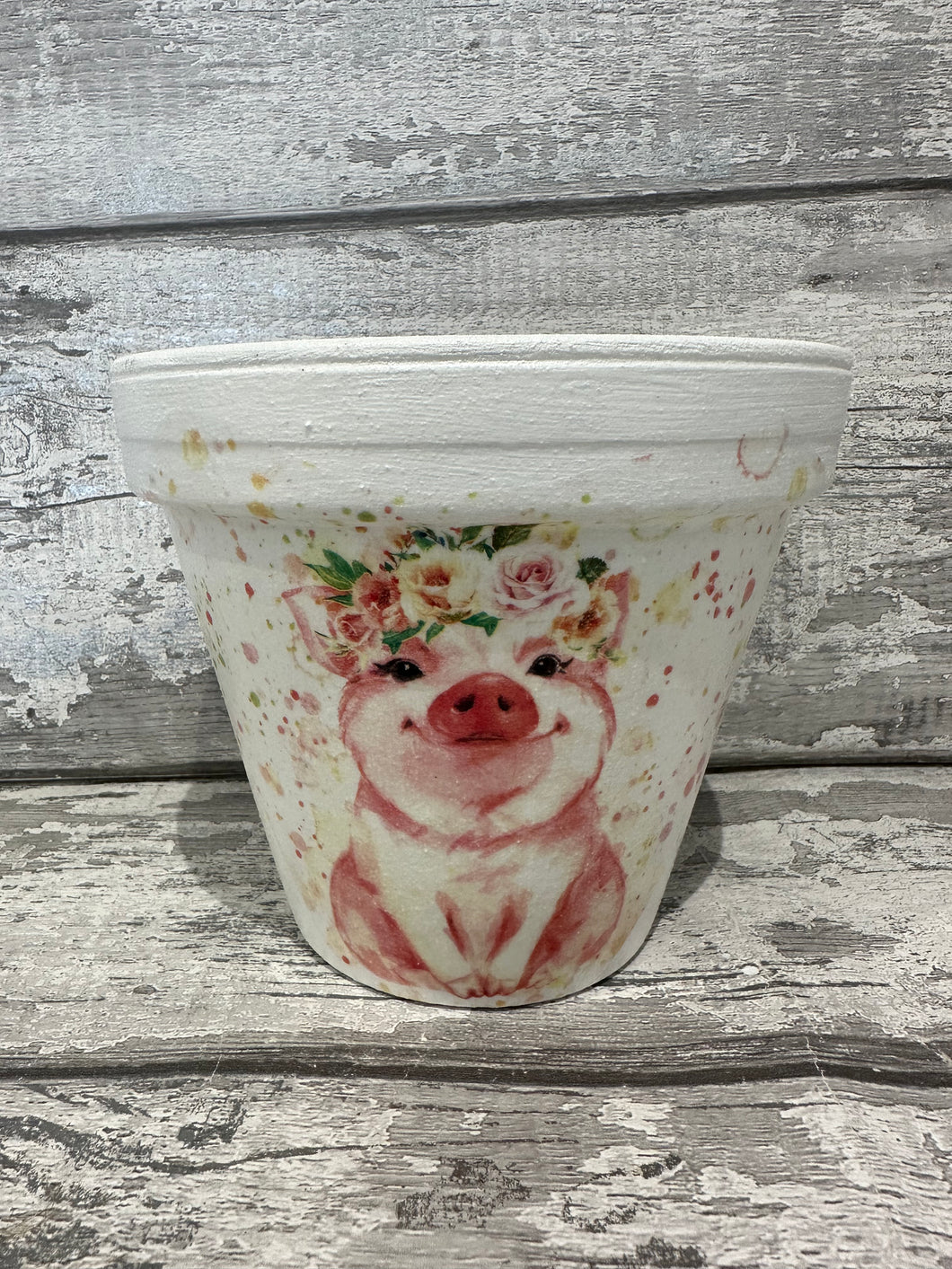 Pig plant pot