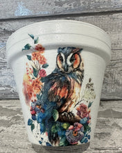 Load image into Gallery viewer, Owl plant pot
