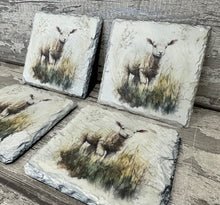 Load image into Gallery viewer, Lamb slate coasters
